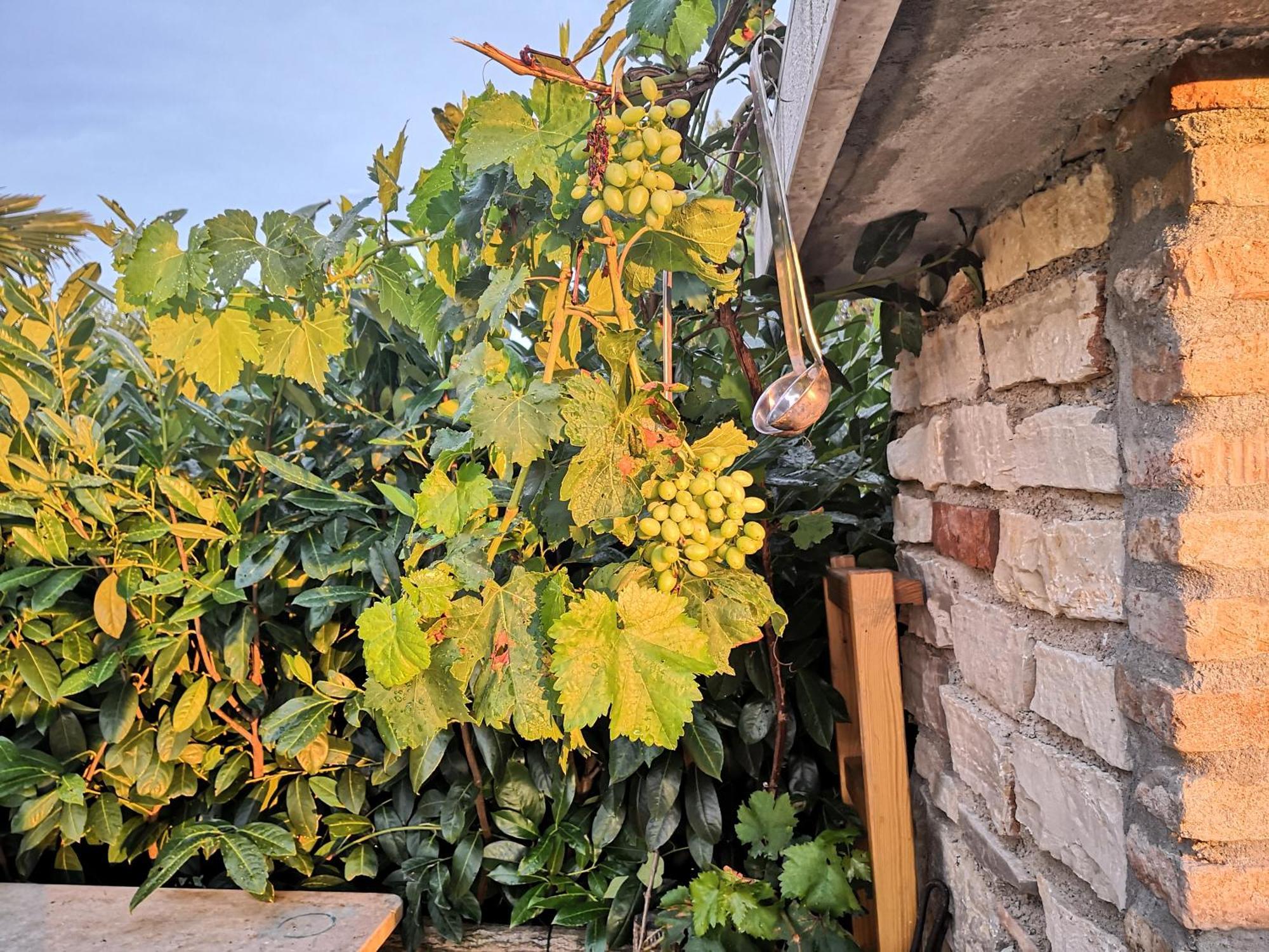 Casa Romantica Umag Zewnętrze zdjęcie